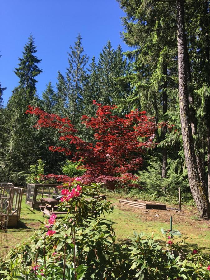Cedar Song B&B Parksville Exterior foto