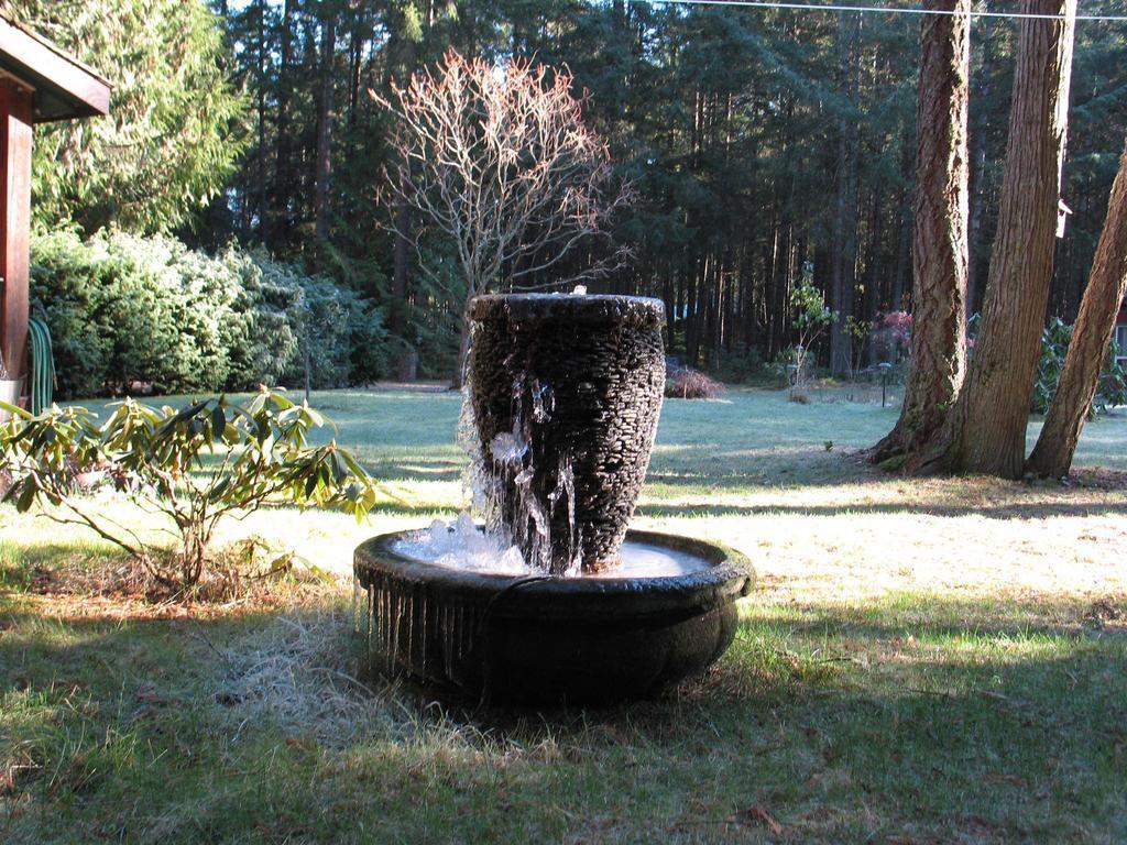 Cedar Song B&B Parksville Quarto foto