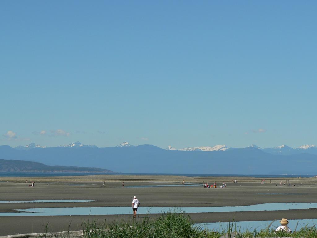 Cedar Song B&B Parksville Quarto foto