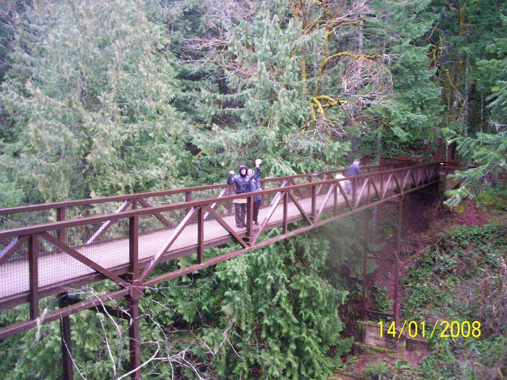 Cedar Song B&B Parksville Exterior foto